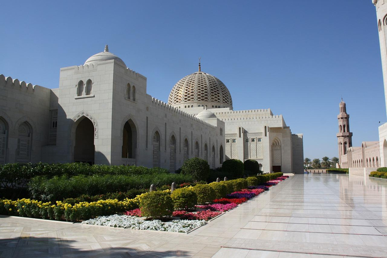 Muscat Express City Tour With Or Without Local MealPrivate Tour