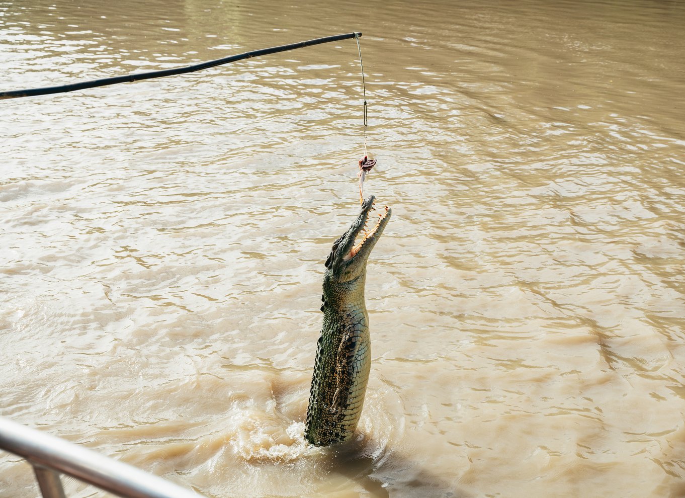 Fra Darwin: Kakadu Wilderness Escape Day Tour fra Darwin