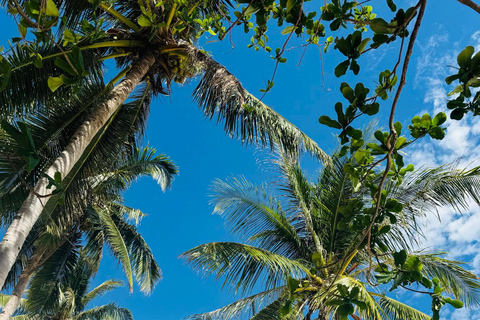 El Nido: Excursión por las islas A con almuerzo, traslado y EDTFEL NIDO TOUR A- TODAS LAS ENTRADAS-SIN CARGOS OCULTOS