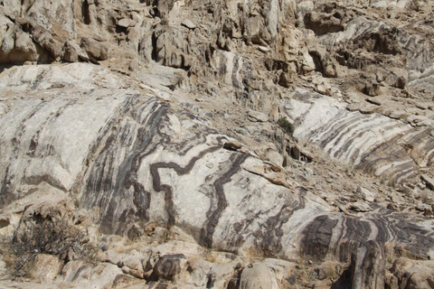 سواكوبموند: جولة في وادي القمر وصحراء ناميب في ويلويتشيا