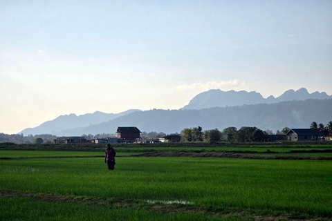 Langkawi: Scooter Island Tour with Breakfast and Lunch