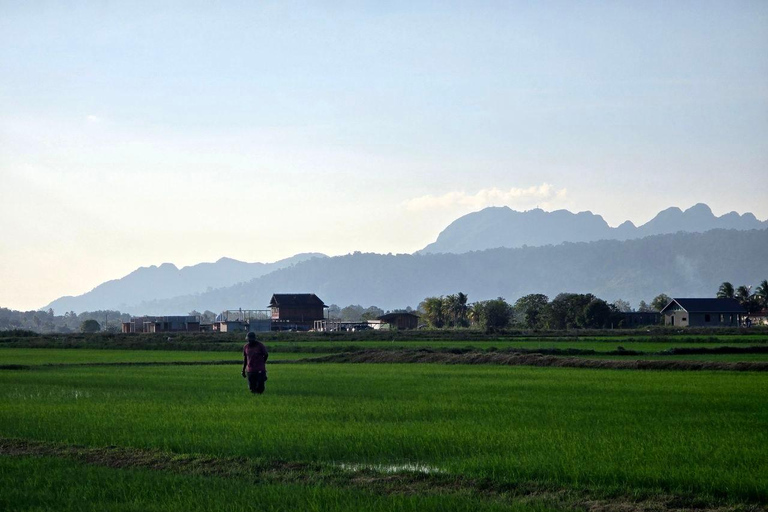 Langkawi: Scooter Island Tour with Breakfast and Lunch