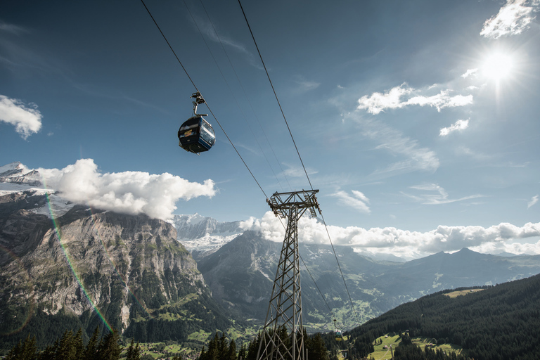 From Interlaken: Grindelwald First Mountain Adventure Tour in Spanish