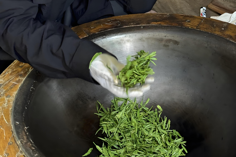 Hangzhou Tea Heritage: A Master-led Tea Harvest & Whisking