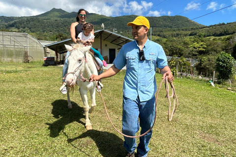Boquete: Fun Adventure at Finca CreaDora – Coffee, Animals, and Hiking