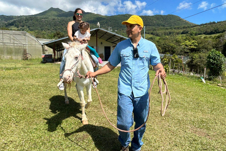 Boquete: Fun Adventure at Finca CreaDora – Coffee, Animals, and Hiking