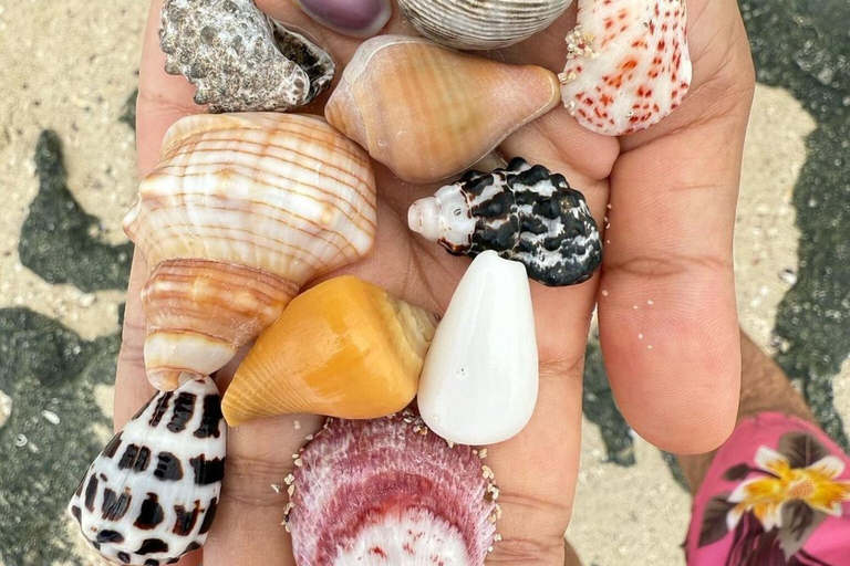 Zanzibar : excursion de plongée avec tuba sur l'île de Tumbatu avec collation