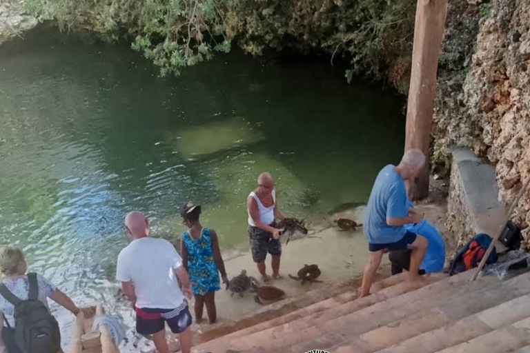 Nungwi: Swimming with Turtles at The Lagoons Zanzibar Hotel Transfers within Nungwi and Kendwa