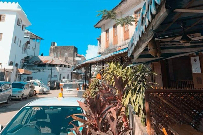 桑给巴尔：石头城、监狱岛和萨拉姆洞海龟