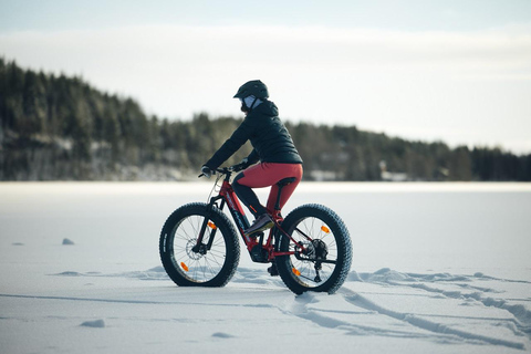Levi, Lapland: E-Fatbike trip to white nature