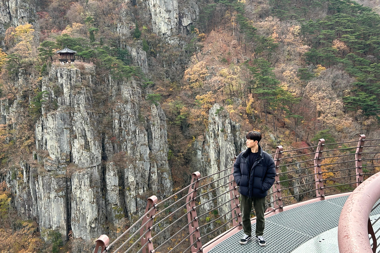 Busan: Caminata por el monte Naeyeonsan con elaboración de makgeolliBusan: Excursión al monte Naeyeonsan con elaboración de makgeolli