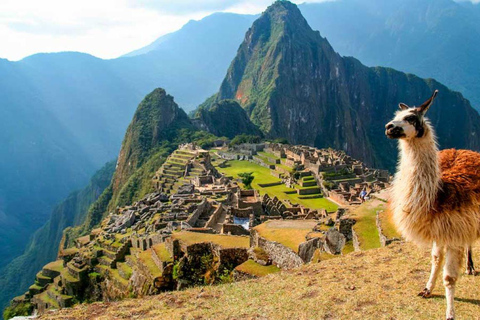 Expedição ao Peru: Emoções e emoções em 5D!