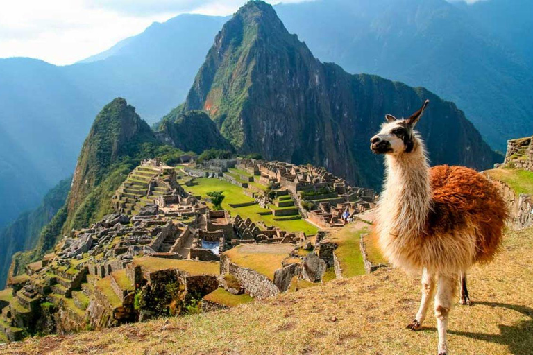 Expedição ao Peru: Emoções e emoções em 5D!