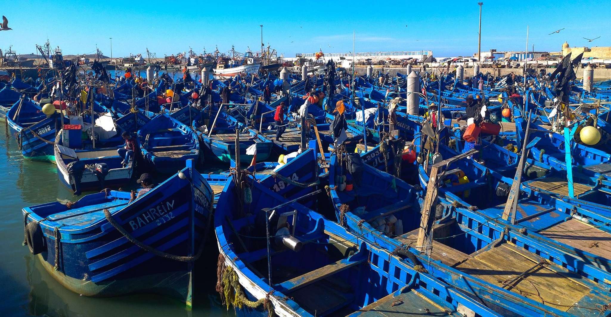 Essaouira, private day trip to the coast - Housity