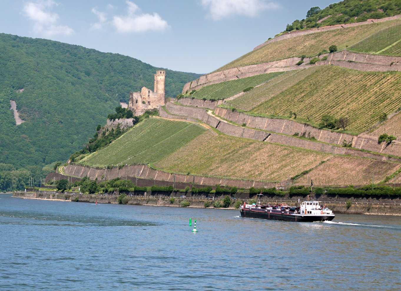 Slotte i Rhinen: 1,5-timers bådtur fra Rüdesheim