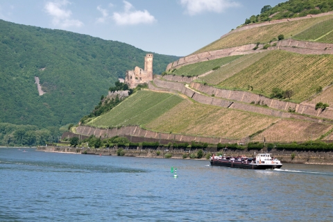 Zamki w dolinie Renu: 1,5-godzinny rejs z Rüdesheim