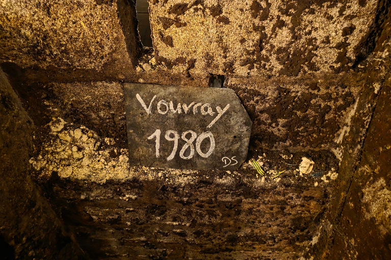 Loire Valley Wine Tour from Paris: 2 Wineries & 10 Tastings Premium Option