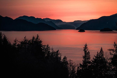 Vancouver: Sunset Boat Cruise with Complementary Bubbly