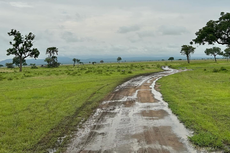 SAFARI DELLA FAUNA SELVATICA 3 GIORNI E 2 NOTTI DA ZANZIBAR A MIKUMI