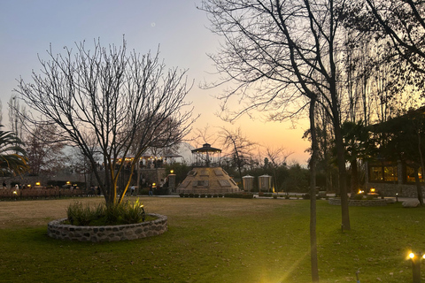 Aylan Family Wines | The Sunset Tour