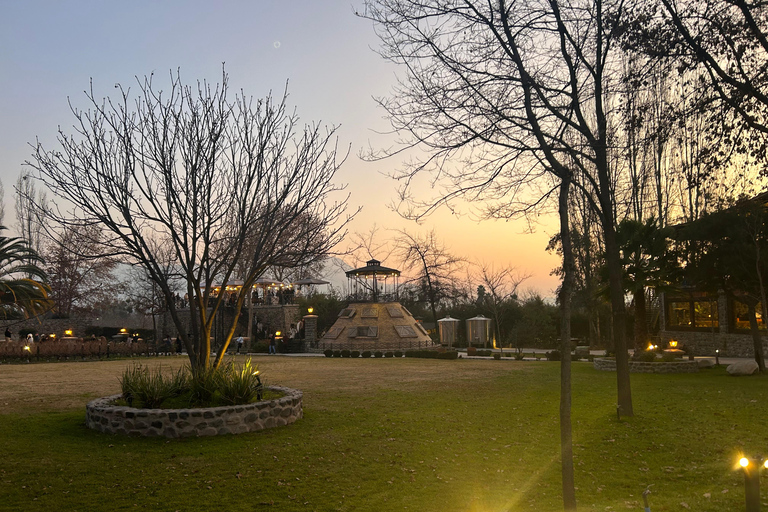 Aylan Family Wines | The Sunset Tour