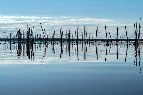 From Alicante: Day Trip to Valencia and the Albufera with Boat Ride From Alicante in English
