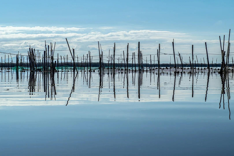 From Alicante: Day Trip to Valencia and the Albufera with Boat Ride From Alicante in English