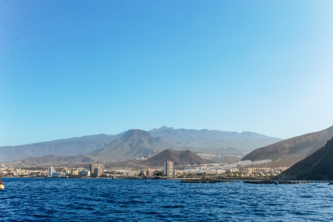 Tenerife : expérience en jet ski sur la côte sudVisite de 1 h en jet ski simple (pour 1 personne)