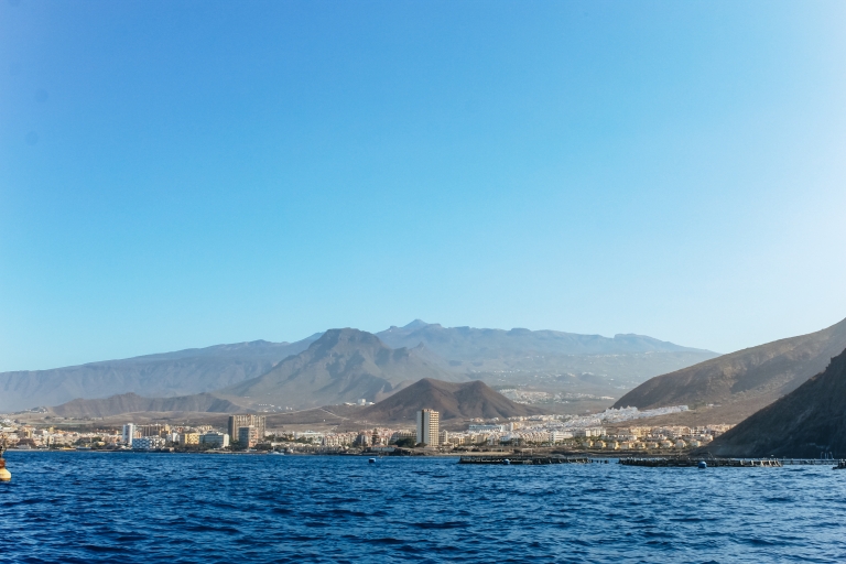 Tenerife: jetskiën aan de zuidkust2 uur in tweepersoonsjetski (1 jetski voor 2 personen)