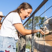 Brisbane: Trevena Glen Farm 1-hour Animal Experience