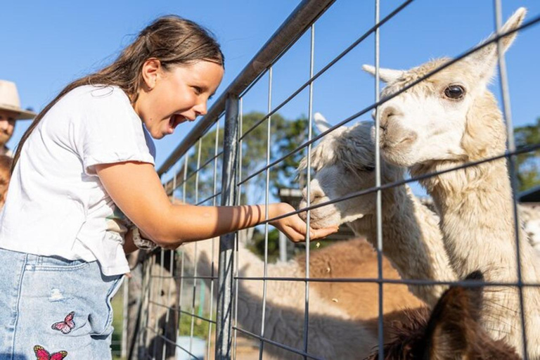 Brisbane: Trevena Glen Farm 1 uur dierenervaring