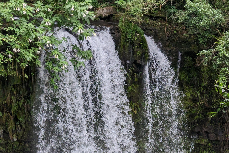 قم بزيارة جبل العنبر: أنتسيرانانا مدغشقر
