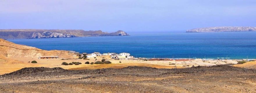 Depuis Piura| Excursion d'une journée à Paita et Colán