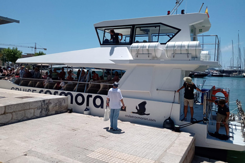 From Palma: Afternoon Dolphin-Watching Boat Tour Meeting point: Bus stop Hotel Palace Bonanza Playa. Illetes