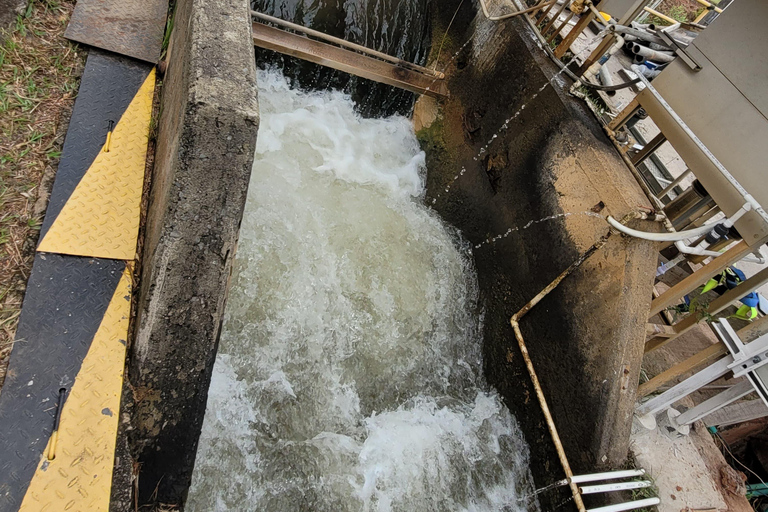 Cali: Guided tour of the La Reforma drinking water treatment plant Cali: Guided tour of a drinking water treatment plant