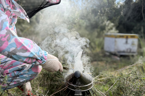 Kalamata: Beekeeping Experience with Honey Tasting