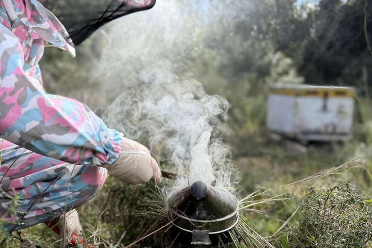 Kalamata: Beekeeping Experience with Honey Tasting
