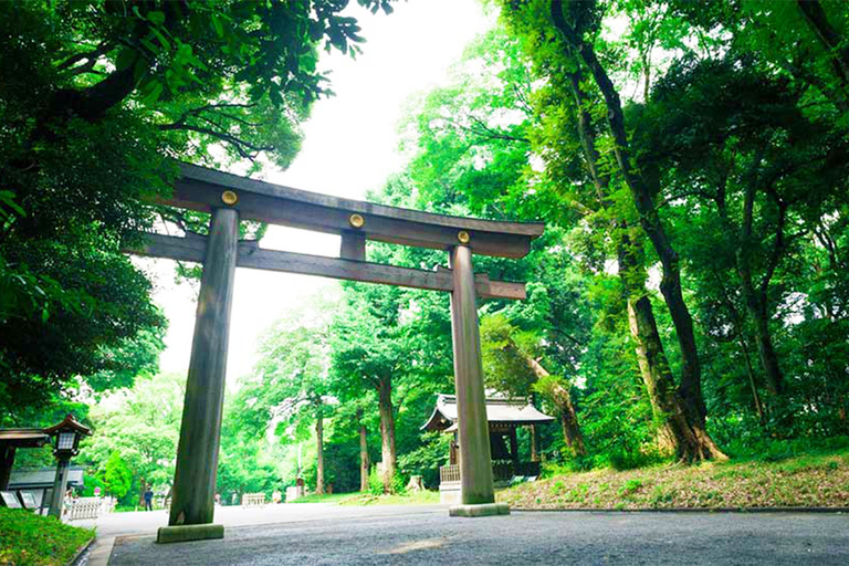 Tokyo-resan Shibuya Rundvandring med en lokal guide, Meiji Shrine