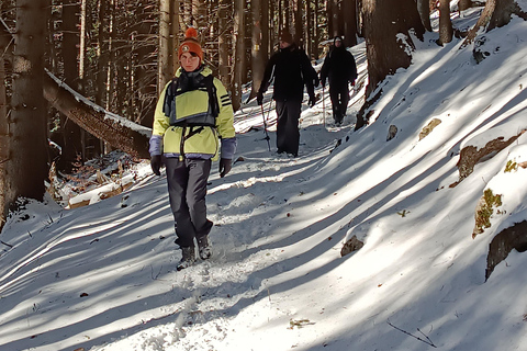 Brasov: Malaiesti Mountain Hut Guided Hike