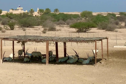 西海岸私人之旅：理查德·塞拉和沙漠奇观