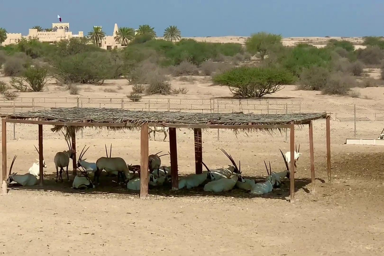 西海岸私人之旅：理查德·塞拉和沙漠奇观