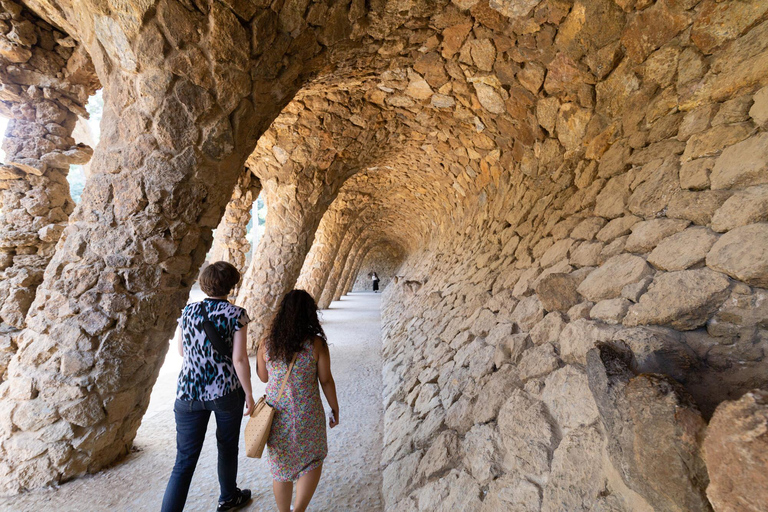 Barcellona: Tour guidato del Parco Guell con ingresso prioritario