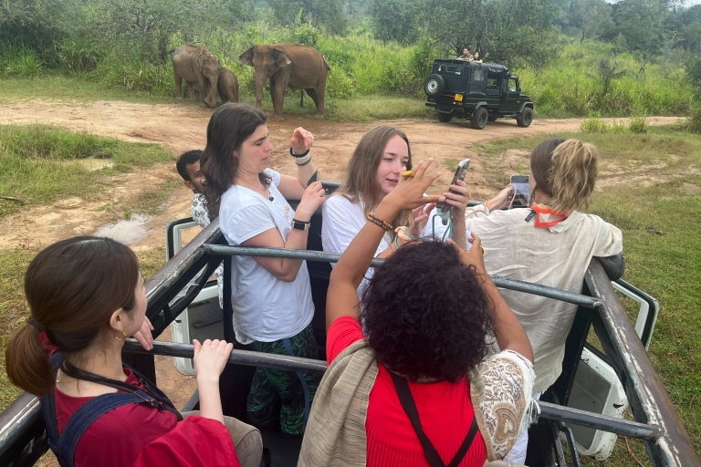 VIP all inclusive wycieczka do Sigiriya Dambulla i Parku NarodowegoLuksusowa wycieczka all inclusive do skały Sigiriya Lion i Parku Narodowego