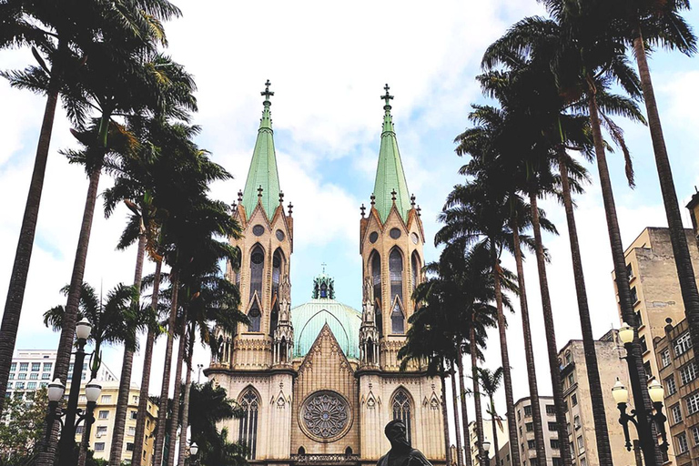 São Paulo: Small-Group Walking Tour with Guide
