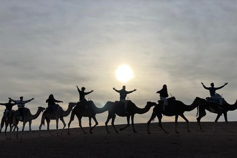 Marrakech:Explorer le désert Agafay Camel&Quad avec Dîner&Spectacle