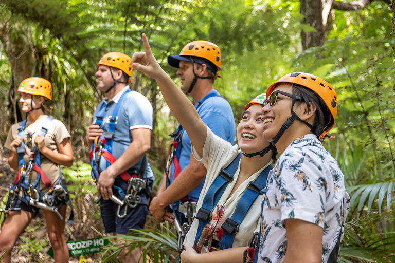 Isola di Waiheke: Zipline e avventura nella foresta nativaIsola Waiheke: zipline e avventura nella foresta nativa