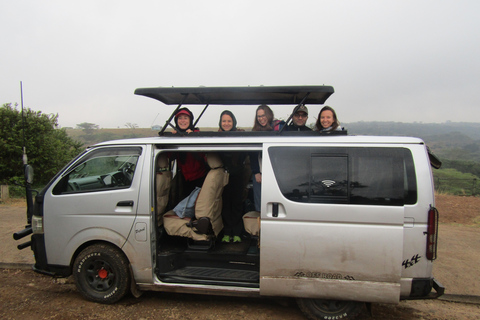 Nairobi Park Safari, Sheldrick's Orphanage & Giraffe Center Shared Drive in Open-Roof Van Game Drive