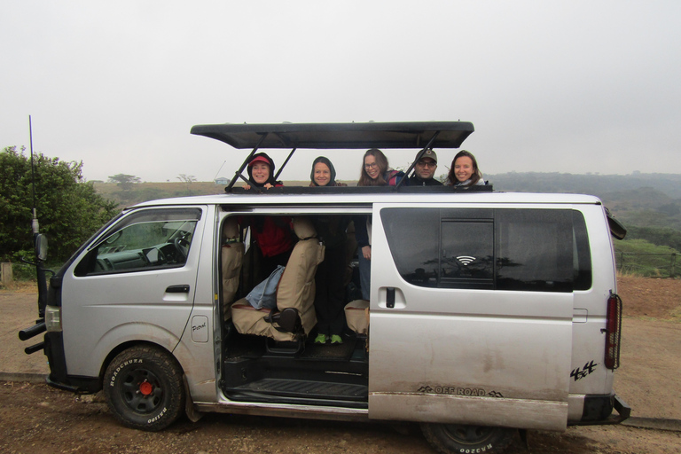 Nairobi Park Safari, Sheldrick's Orphanage & Giraffe Center Shared Drive in Open-Roof Van Game Drive