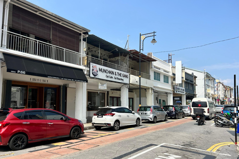 Georgetown Experience: Nanyang KungFu Tea & Hidden Discovery