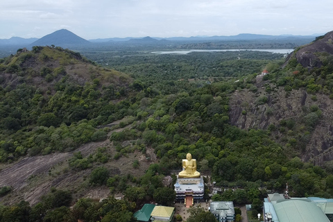 Sigiriya Dambulla Minneriya Safari Excursão de 1 dia em particularRecolha nos hotéis de Kandy ou Matale